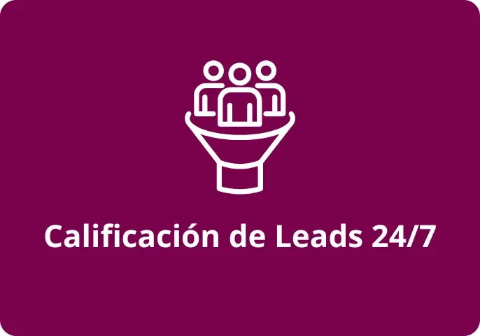 calificaciondeleads
